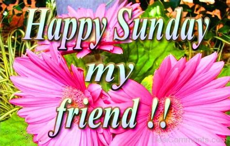 Happy Sunday My Friend