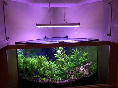 However reflectors in different units can affect whether light beams. Can Orphek do Planted Discus led fixture ? •Reef Aquarium ...