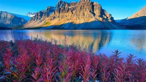 Lake Louise Canadas Banff National Park Alberta Beautiful Landscape Desktop Wallpaper 1920x1200