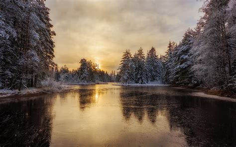 Image Sweden Arvika Winter Spruce Nature Forests River 1920x1200