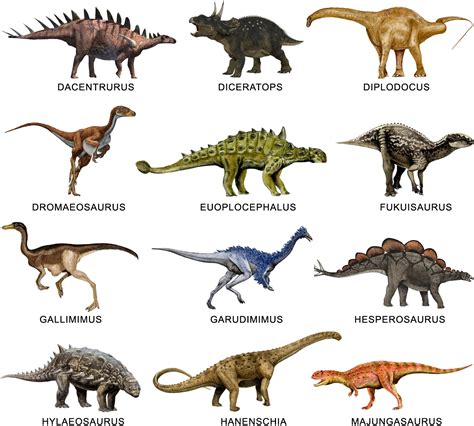 Arriba 95 Foto Imágenes De Dinosaurios Con Sus Nombres Mirada Tensa