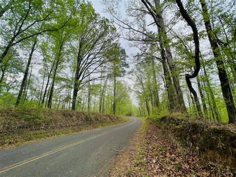 130 Acres Hinds County Ms Backwoods Land Company