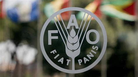 Fao Trains 51 Extension Service Officers To Boost Agric In Northeast