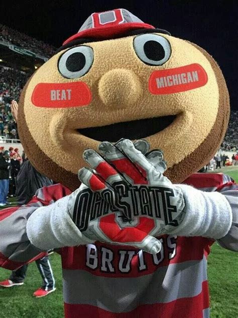 Brutus Buckeye 😷 On Twitter Ohio State Buckeyes Football Brutus
