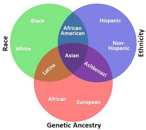 The Use And Relationship Of Racial Ethnic And Ancestral Categories