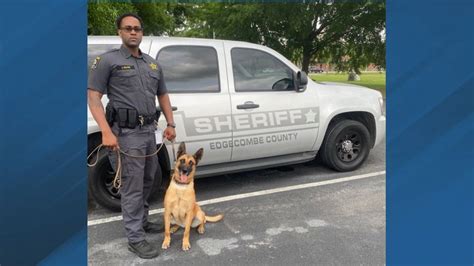 edgecombe county has new k9 officer leni on the force