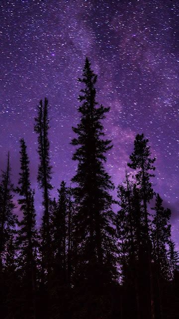 Wallpaper Night Stars Trees Starry Sky Free Wallpapers For Apple