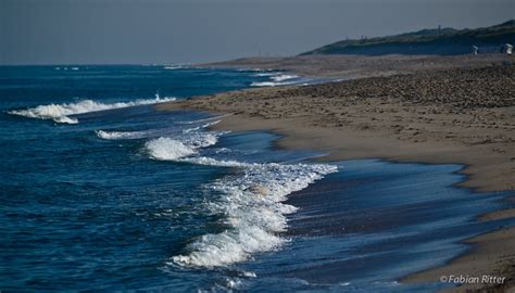 More images for schweinswale sylt » WDC besucht die Schweinswale vor Sylt - Whale and Dolphin ...