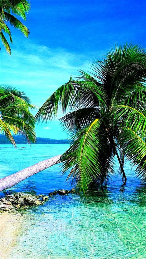 Free Download Tropical Beach Desktop Backgrounds Tropical Beach