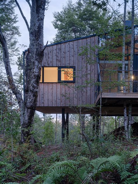 Photos From This Wood Glass And Metal Cabin Hovers Above The Forest