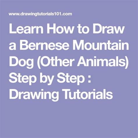 Learn How To Draw A Bernese Mountain Dog Other Animals Step By Step