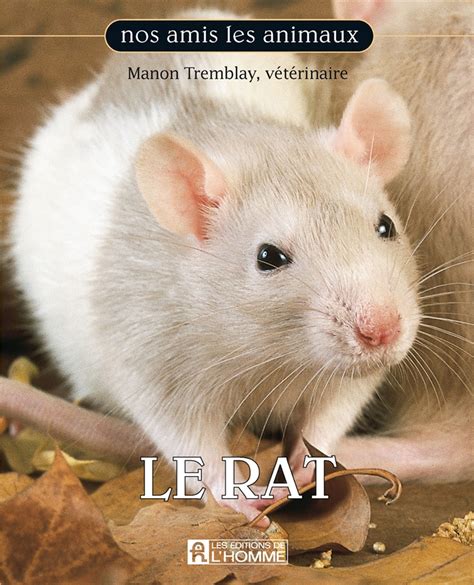 Livre Le Rat Messageries Adp