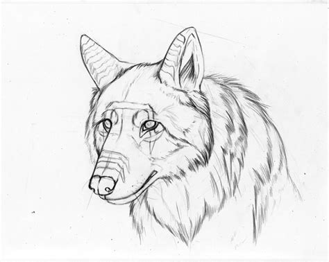 Sad Wolf Drawing At Getdrawings Free Download