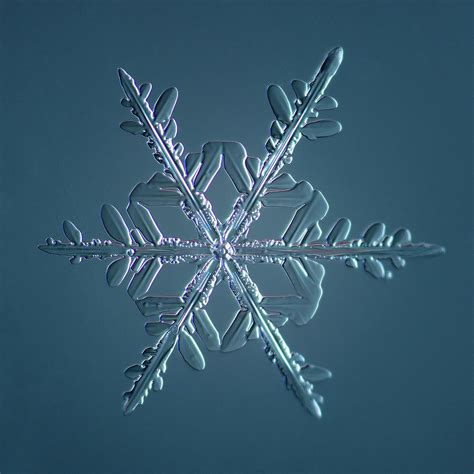 Stellar Dendrite Snowflake 0052162014 Digital Art By Print
