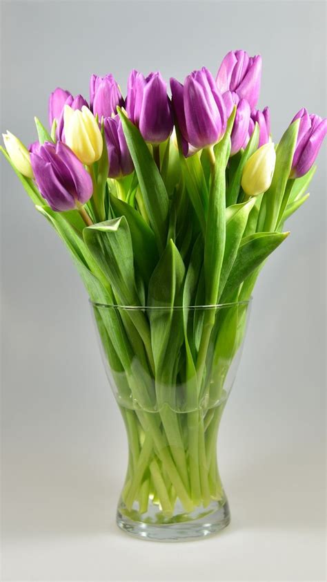 Our garden center and flower shop have served montgomery, aurora and surrounding communities for over 90 years, since 1926. 15 Flower Delivery Near Me Options - | Flower vases ...