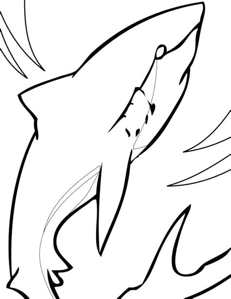 You may use these photograph for gallery of san jose sharks coloring pages : San Jose Sharks Coloring Pages at GetColorings.com | Free printable colorings pages to print and ...