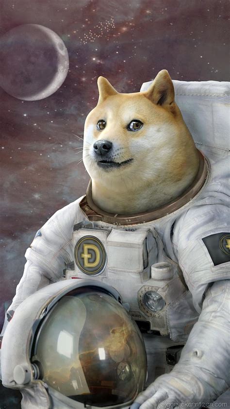 Doge Desktop Background