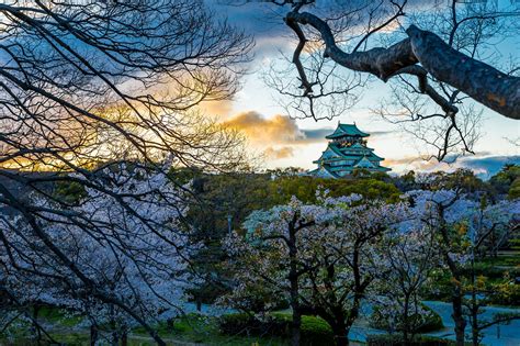 Download Osaka Castle Picturesque View Wallpaper