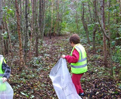 Speedies Blog Help Clean Up A Forest And Create A Community Garden