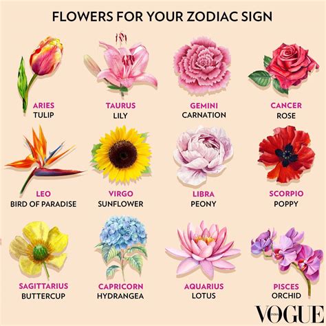 Zodiac Flowers Ar