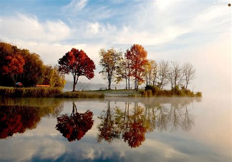 Autumn Trees Viewes Lake For Desktop Wallpapers 1920x1343