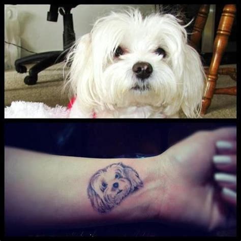 Dog Tattoos Tattoos Small Dog Tattoos