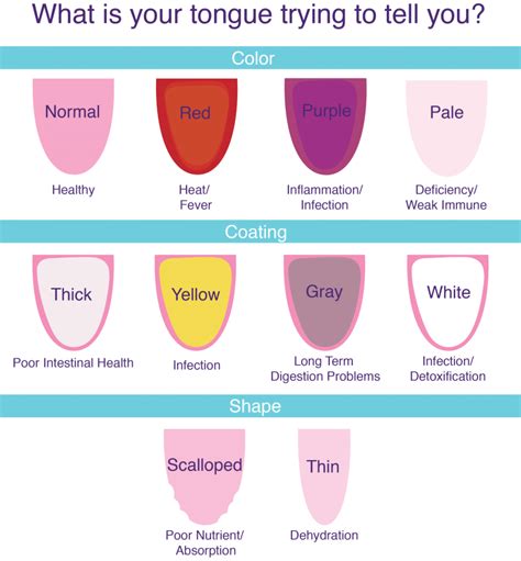 What Your Tongue Says About Your Health Leslie B Anthony Dmd