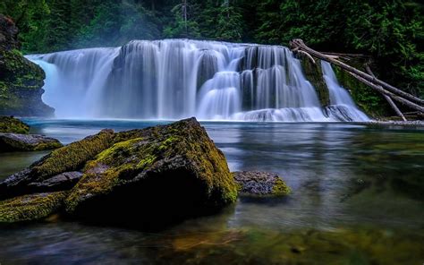 Lower Lewis River Falls Waterfall Lake Forest American Nature
