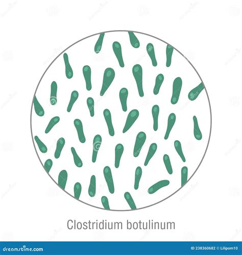 Clostridium Botulinum Pathogenic Bacteria Bacterial Microorganism