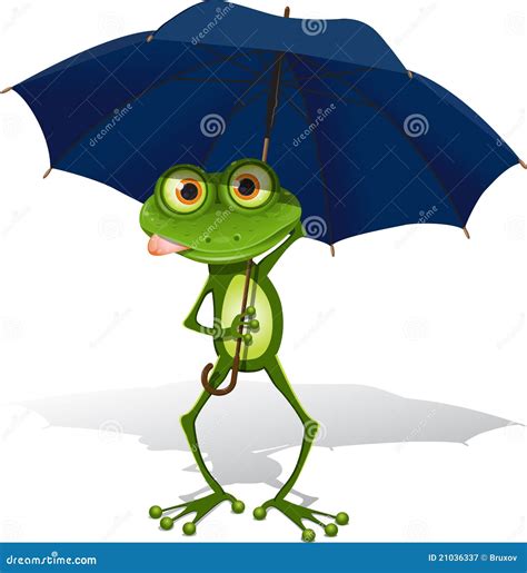 Frog And Umbrella Royalty Free Stock Photography Image 21036337