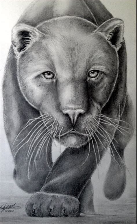 Panther Drawing In Pencil