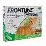 Photos of Frontline Flea Medication For Cats