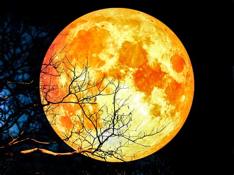 Blood Red Super Moon Will Rise On January