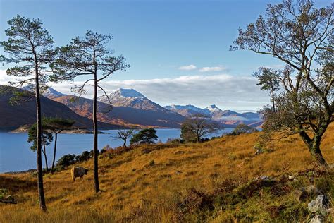 Loch Quoich And The Knoydart Mountans Photograph By Derek Beattie