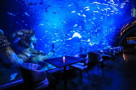 Thailands First And Only Underwater Dining