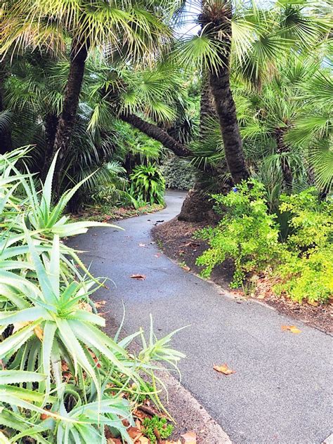 Tropical Garden Design Ideas To Inspire Your Outdoor Space