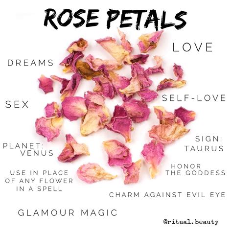 Rose Petal Magic Magic Herbs Witchcraft Herbs Herbal Magic