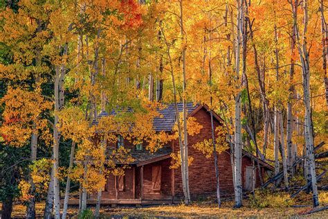 Autumn Cabin In The Woods Photograph By Daniel Forster Photography