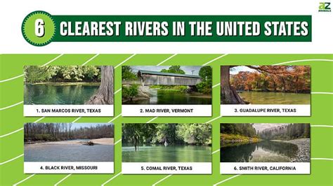 6 Clearest Rivers In The United States 3 Are In Texas A Z Animals