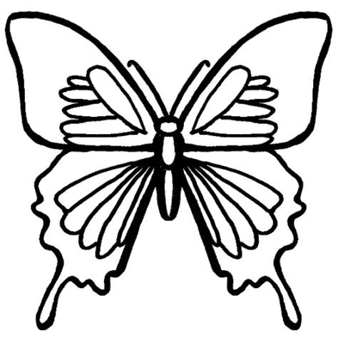 Sketsa kupu kupu adalah salah satu gambar dasar dini yang belum jadi, umumnya ia digoreskan dengan menggunakan media pensil dan sejenisnya. Gambar Mewarnai Kupu Kupu Terbaru | gambarcoloring