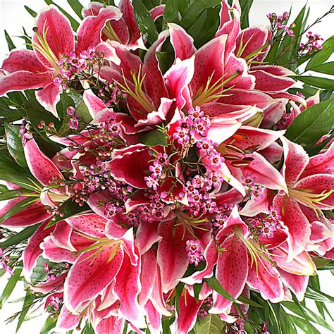 Pink Lily Bouquet Grandissimo Delivered Next Day