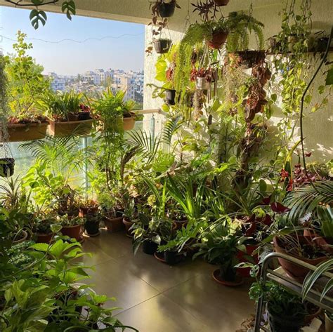 Balcony Garden Ideas That Prove Anyone Can Create One—no