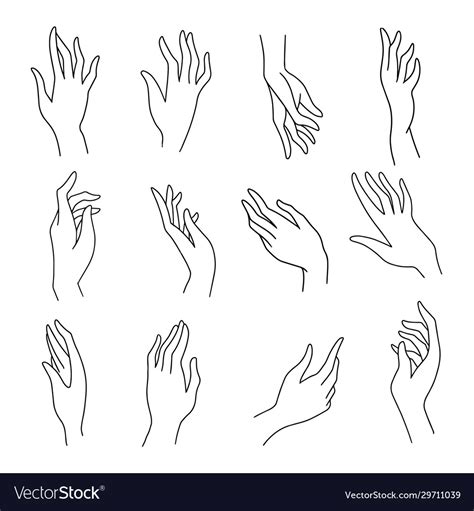 Set Simple Female Hands Art Drawings Symbols Vector Image