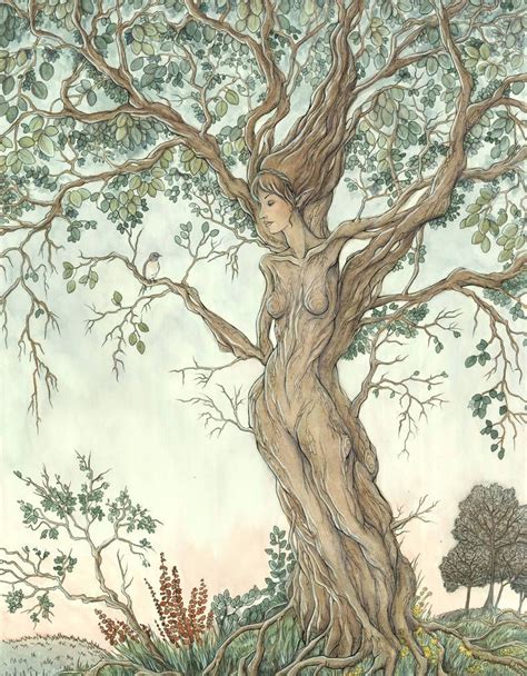 Dryad By Evanira Fantasy Art Tree Art Tree Drawing