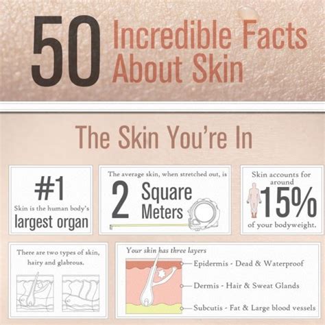 50 Facts About Skin Healthstatus