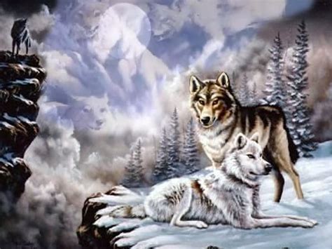 1920x1080px 1080p Free Download Wolf Mountain Snow Mountains Wolf