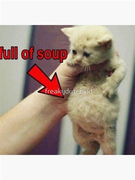 Full Of Soup Cat Sticker By Freakydutchkid Redbubble