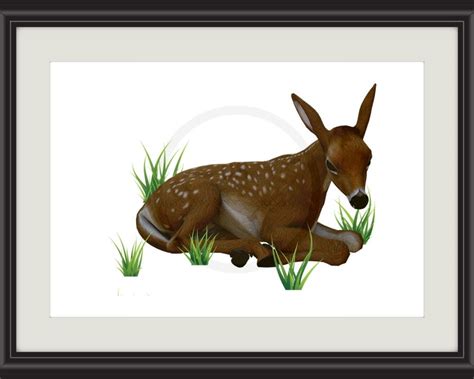 Baby Deer Deer Art Wall Art Nursery Decor Digital Art Etsy