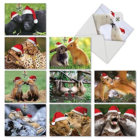 10 Adorable ‘holiday Animal Smackers Merry Christmas Cards With