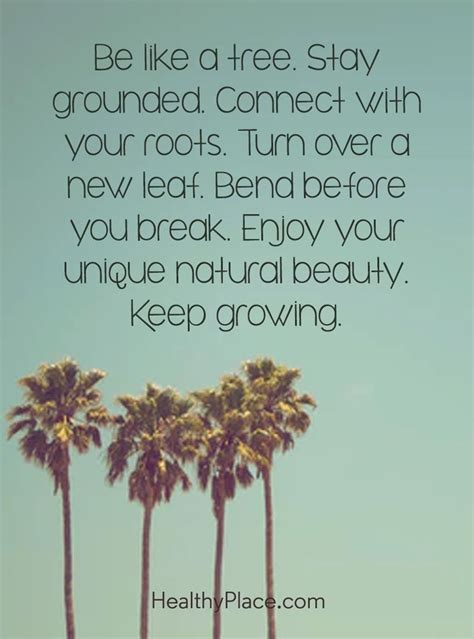 Positive Quote Be Like A Tree Stay Grounded Connect With Your Roots